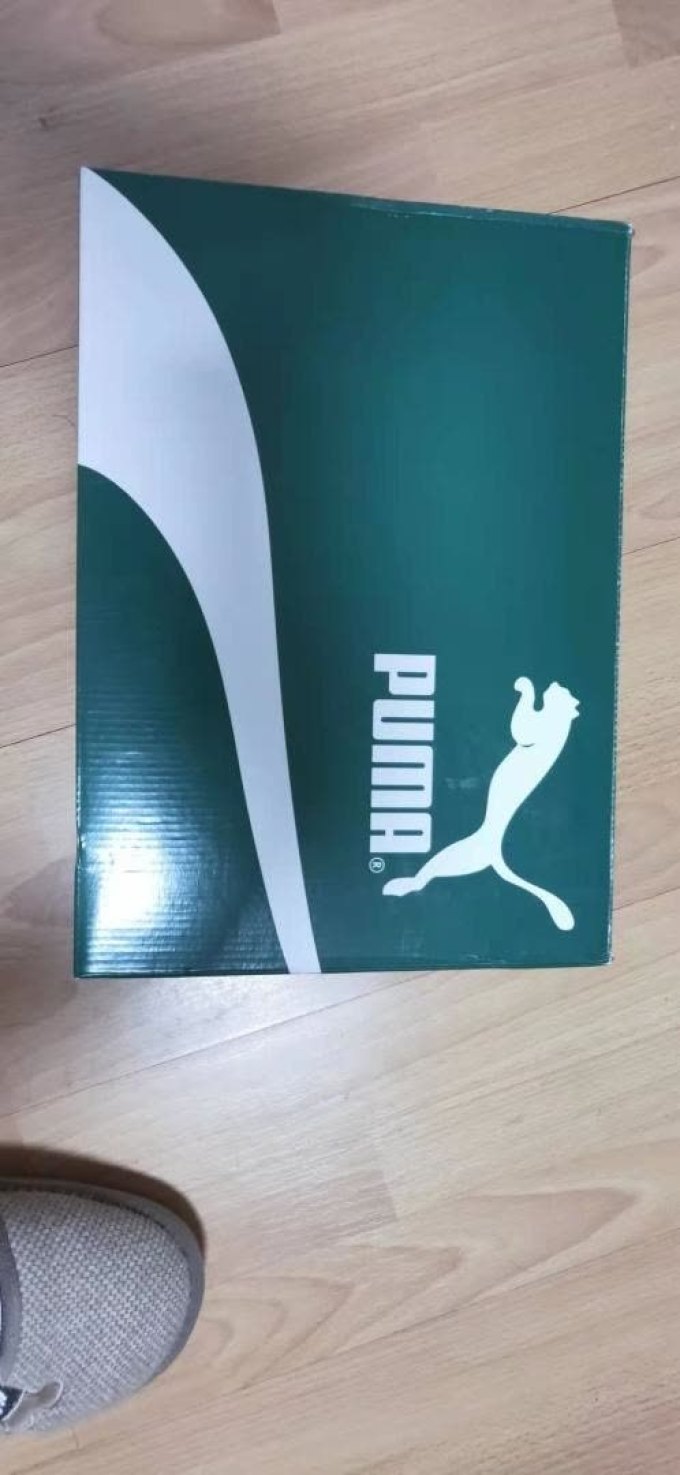 彪马休闲运动鞋