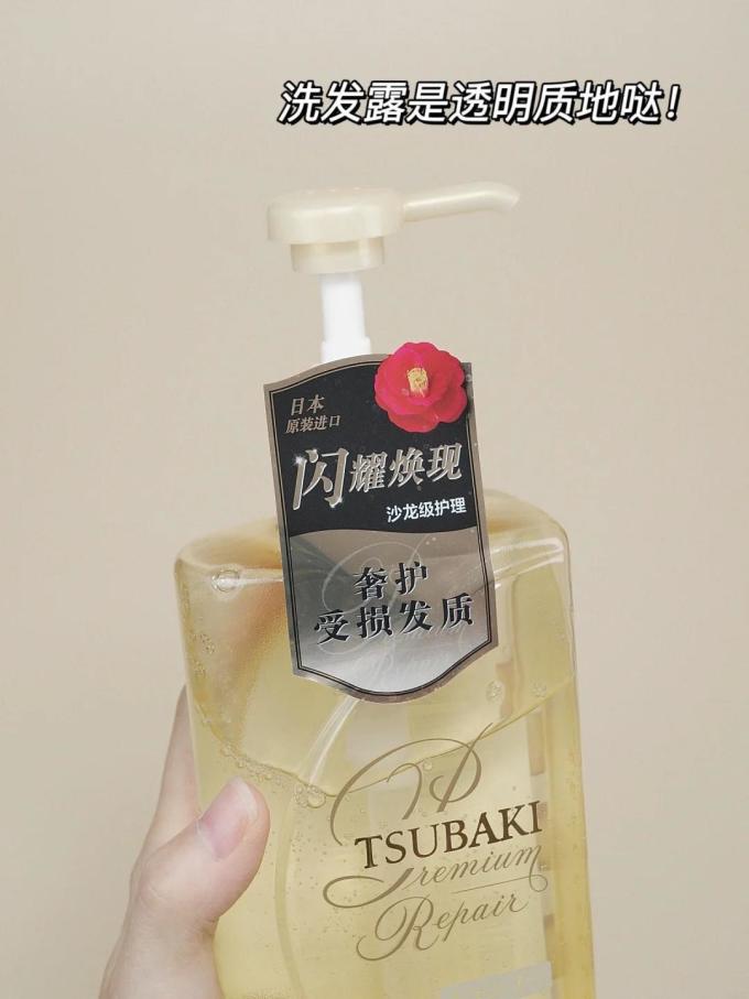 丝蓓绮洗发护发