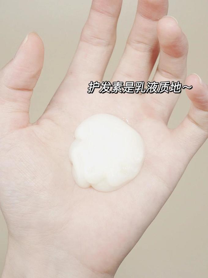 丝蓓绮洗发护发