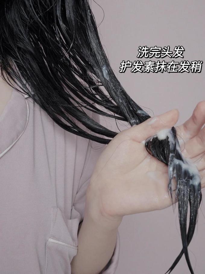丝蓓绮洗发护发