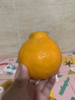 好吃不贵的春见耙耙柑