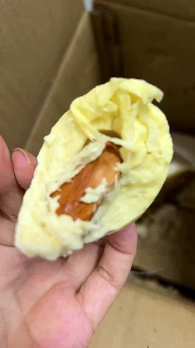 甘福园榴莲