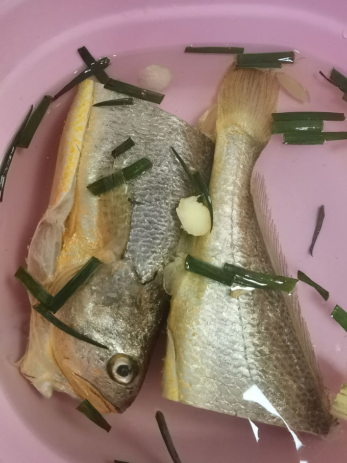 京东京造鱼类