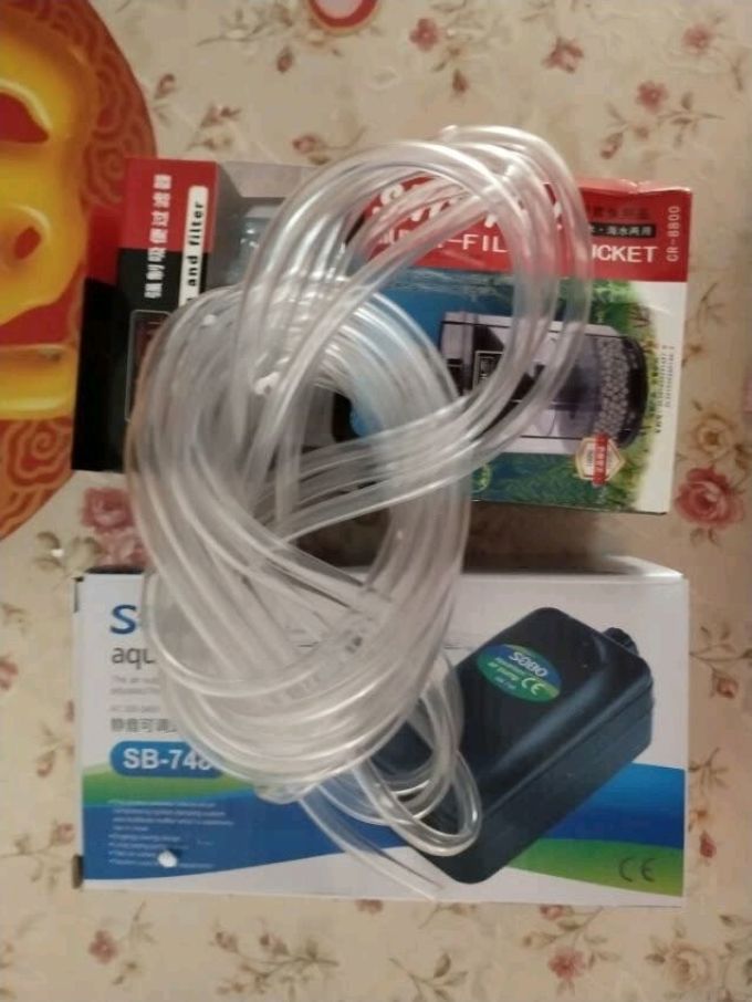 鱼缸