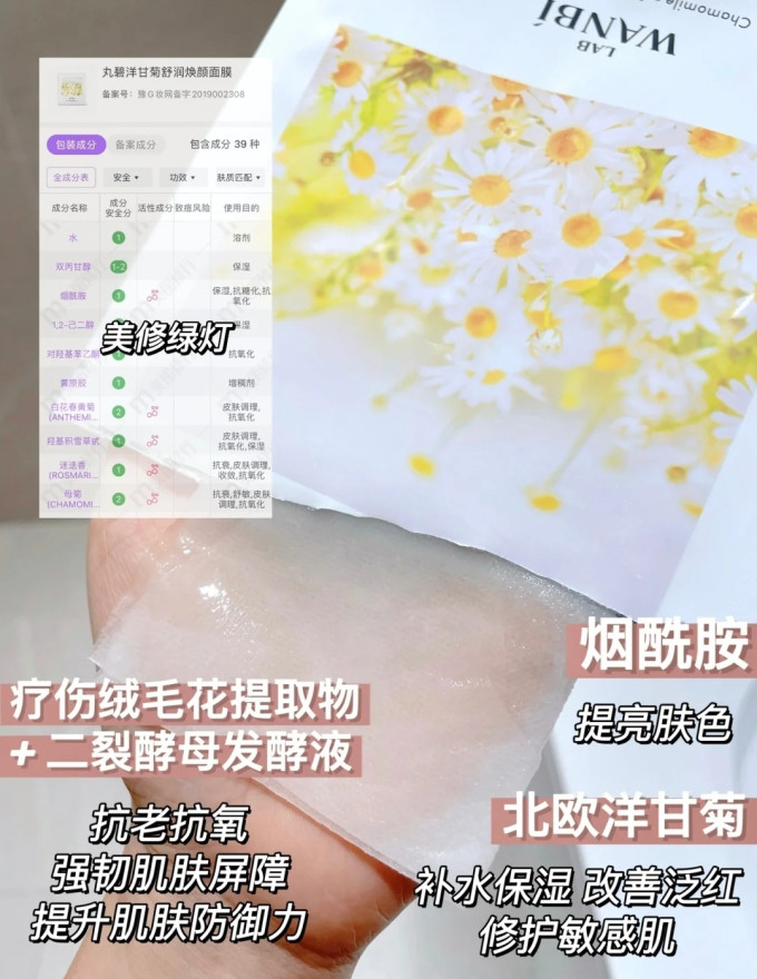 丸碧面膜面贴