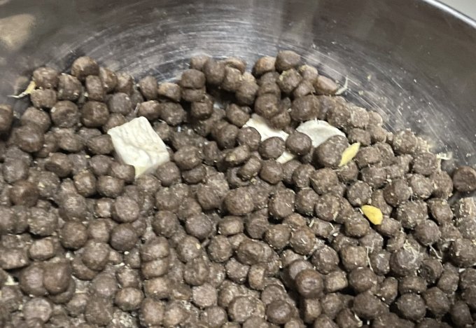网易严选猫咪干粮
