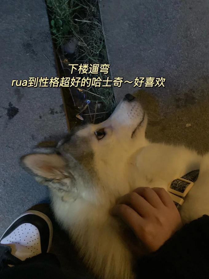 超市便利