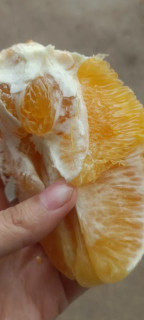 赣南脐橙