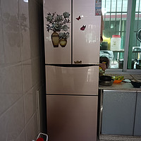 家庭用节能环保双开门冰箱