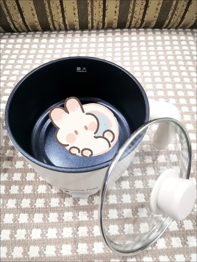 九阳电炖锅