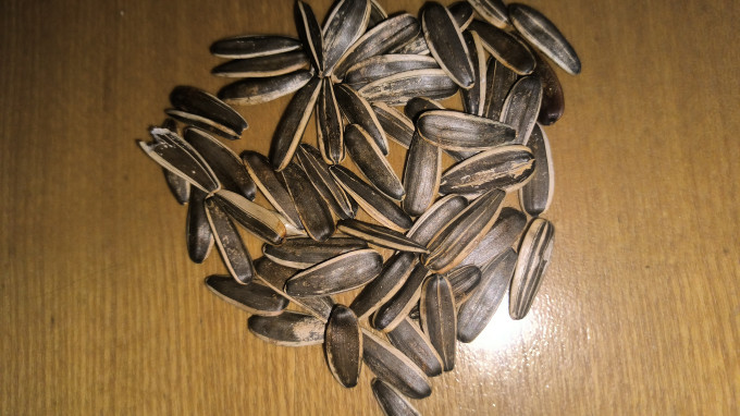 卿阳春瓜子