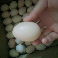 小小一个的土鸡蛋