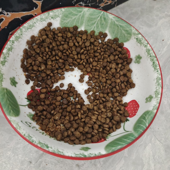 江小傲猫粮