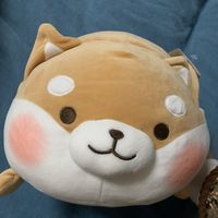 可可爱爱软软乎乎的柴犬～