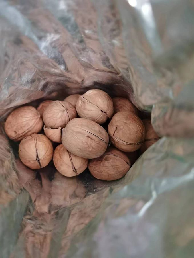 洽洽核桃