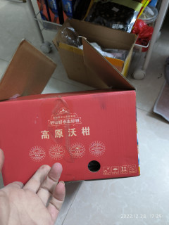 云南沃柑