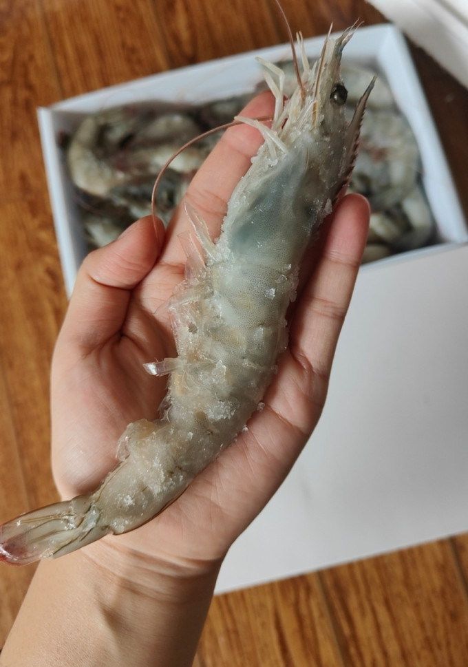 东方甄选虾类