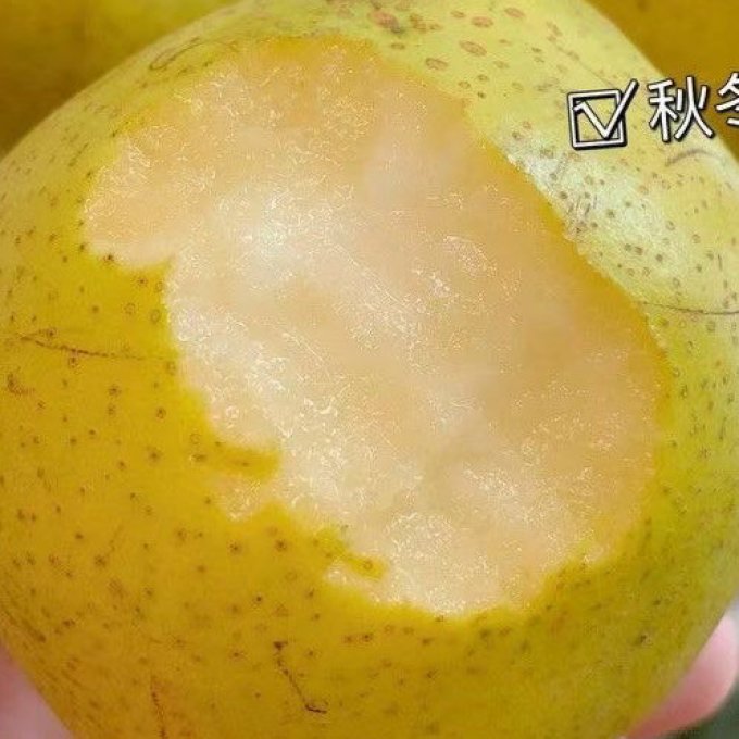 西贝哥其他水果