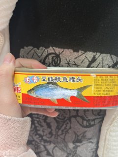 大家有什么下饭好菜推荐吗？