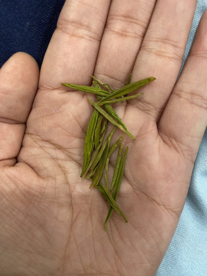 绿满堂茶类