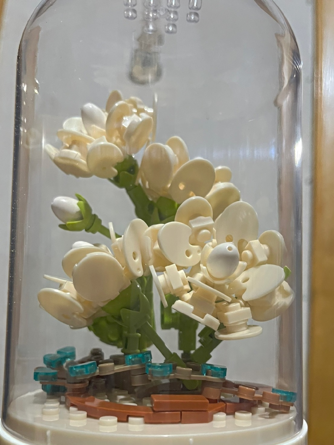 永生花