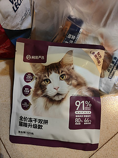 新的一年，我又买了新的猫粮喂流浪猫