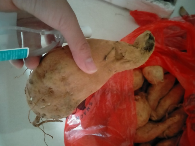 春鲤集市蔬菜