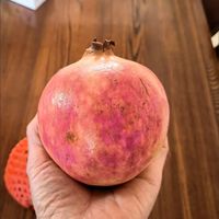 【御品一园】精品突尼斯软籽石榴净重5斤280
