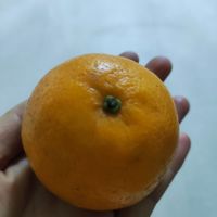 过年了你打算炫几个