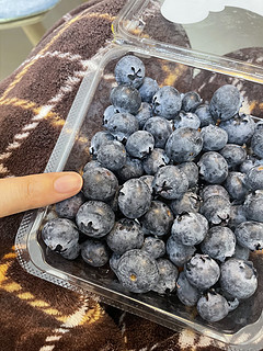 怎么会有这么好吃的蓝莓🫐