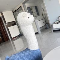 送给宝宝的礼物