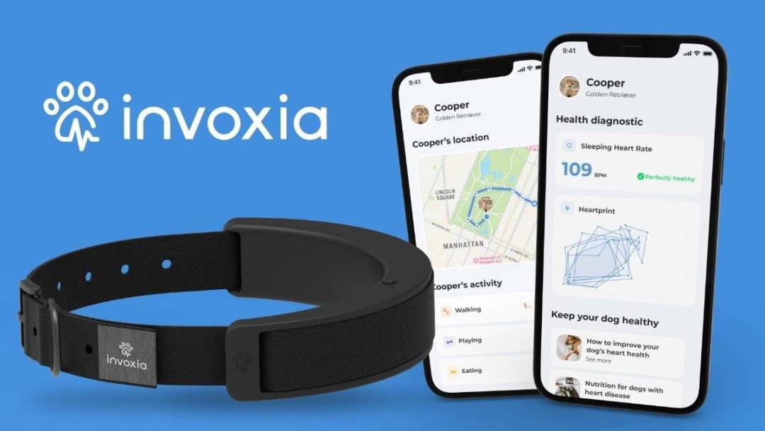 科技东风|iPhone新料影像再升级、ThinkPhone现身CES、MIUI 14已支持九宫格