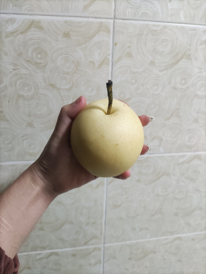 聚牛果园其他水果
