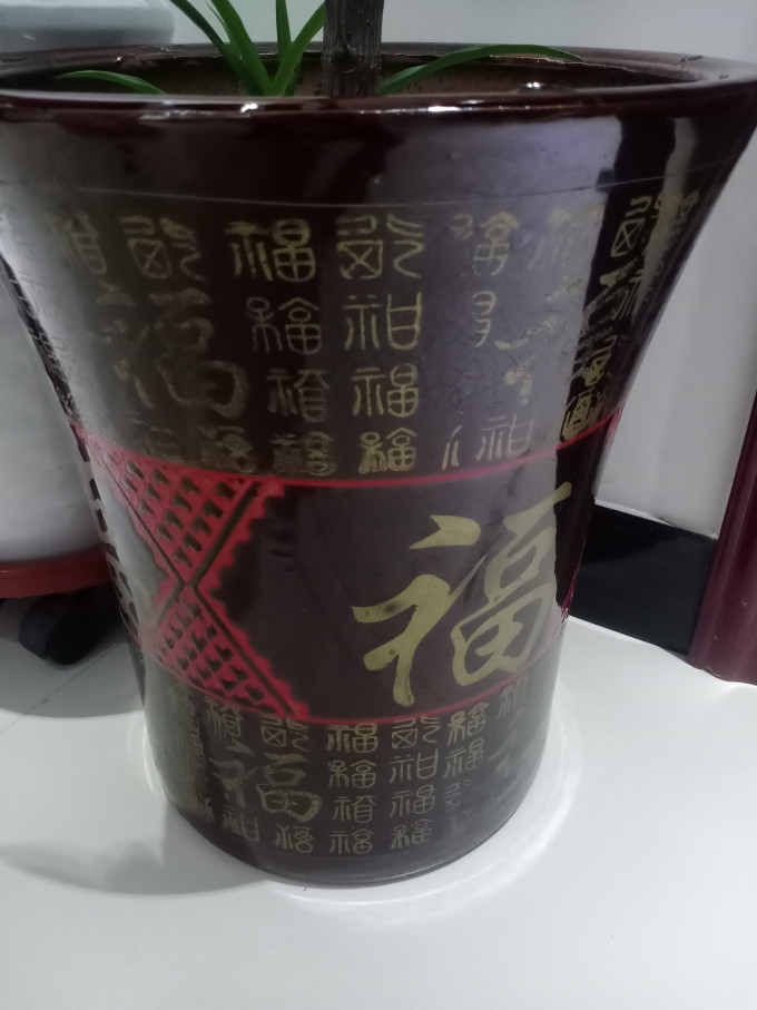 花盆