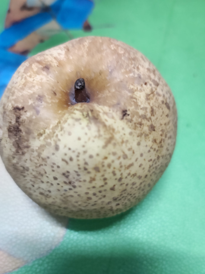 其他水果