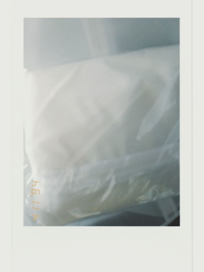 青苇收纳用品