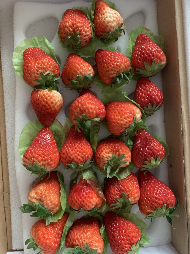 京东自营买的丹东草莓，算不算翻车了？