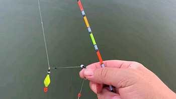小型鱼，小型鱼钓竿。