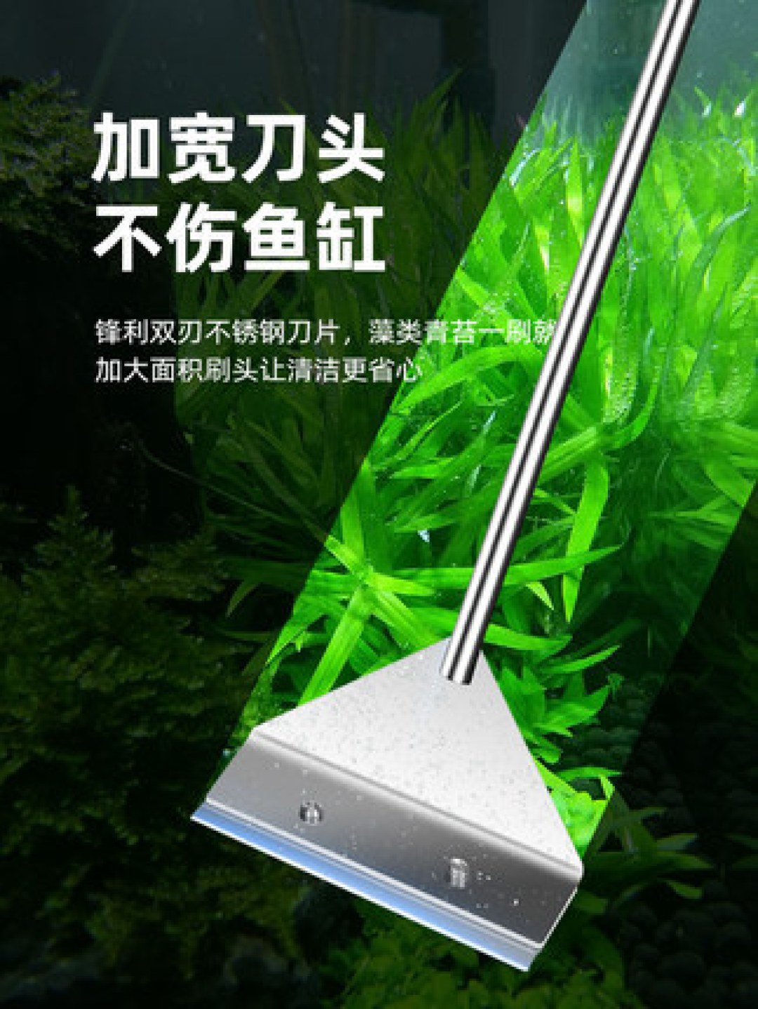 鱼缸水渍难对付?试试白醋,马上还你一个通透的鱼缸