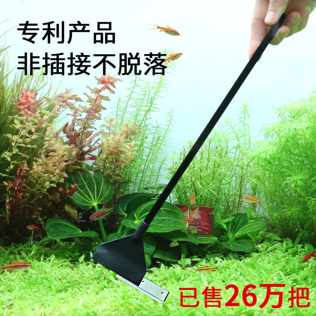 鱼缸水渍难对付?试试白醋,马上还你一个通透的鱼缸