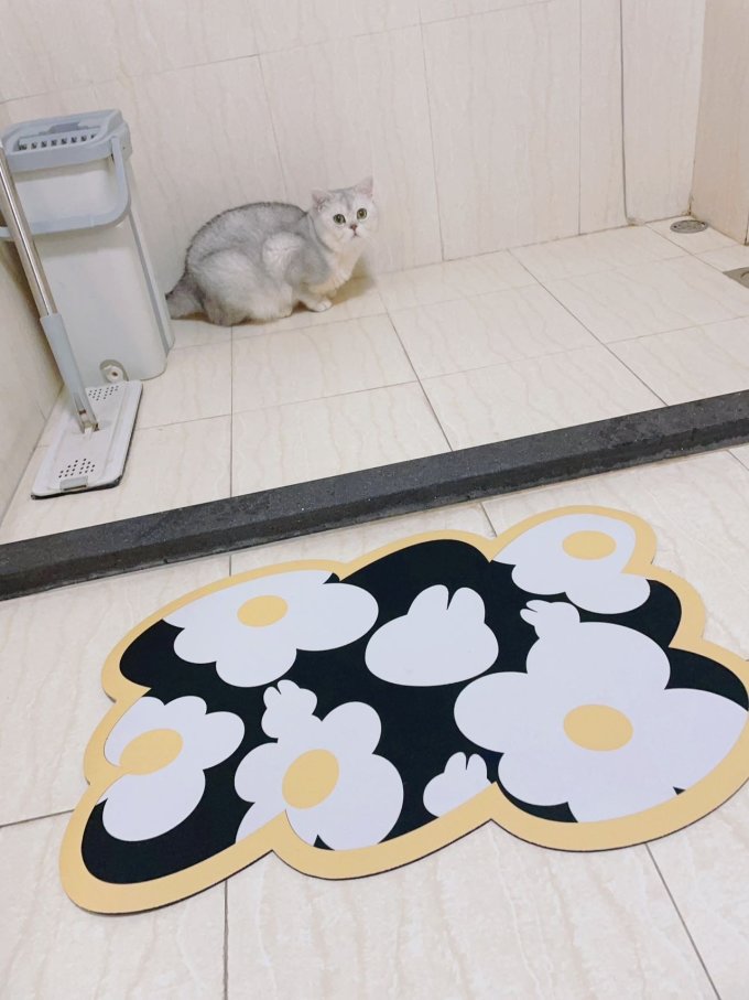 地垫