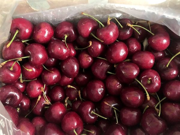 大樱桃🍒，又大又甜