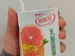 蒙牛酸酸乳乳酸菌果茶