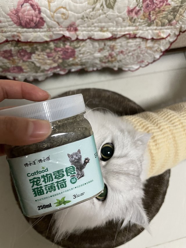排毛球猫咪猫薄荷零食