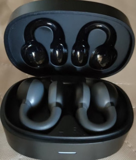 蛇圣C5【2022新品】华为适用真无线蓝牙耳机