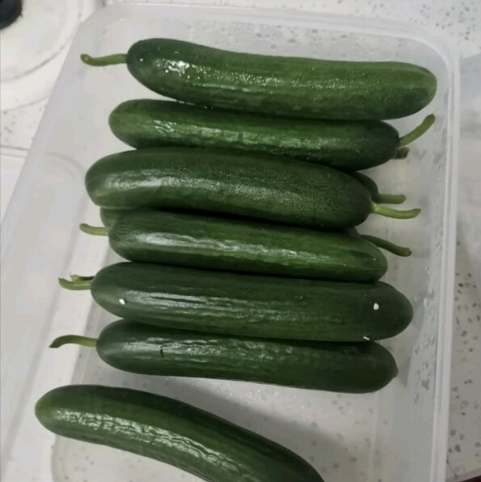 京地达蔬菜