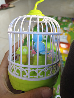 儿童鸟笼玩具小鸟电动会唱歌