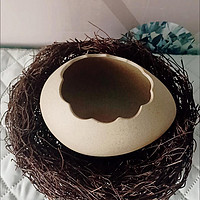 搞怪鸟巢蛋壳泡面碗