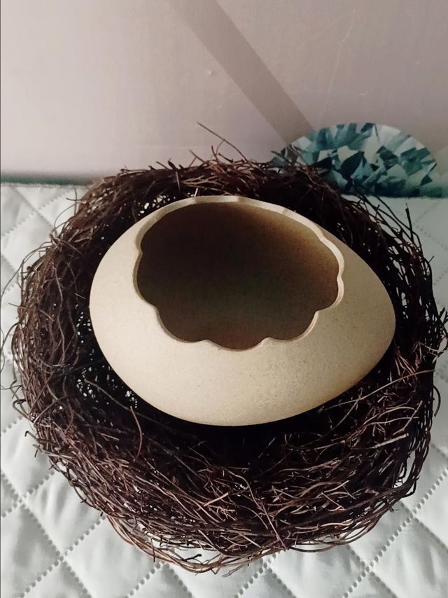 搞怪鸟巢蛋壳泡面碗