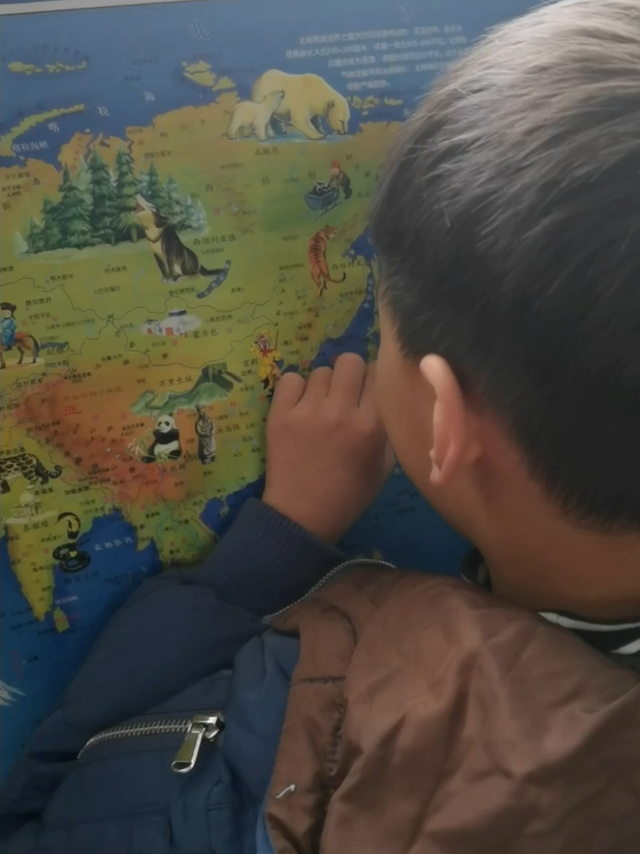 老母鸡把毛毛虫吃掉！